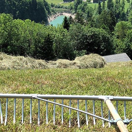 Vila Haus Hagspiel Hittisau Exteriér fotografie