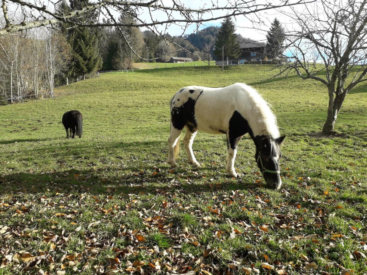 Vila Haus Hagspiel Hittisau Exteriér fotografie