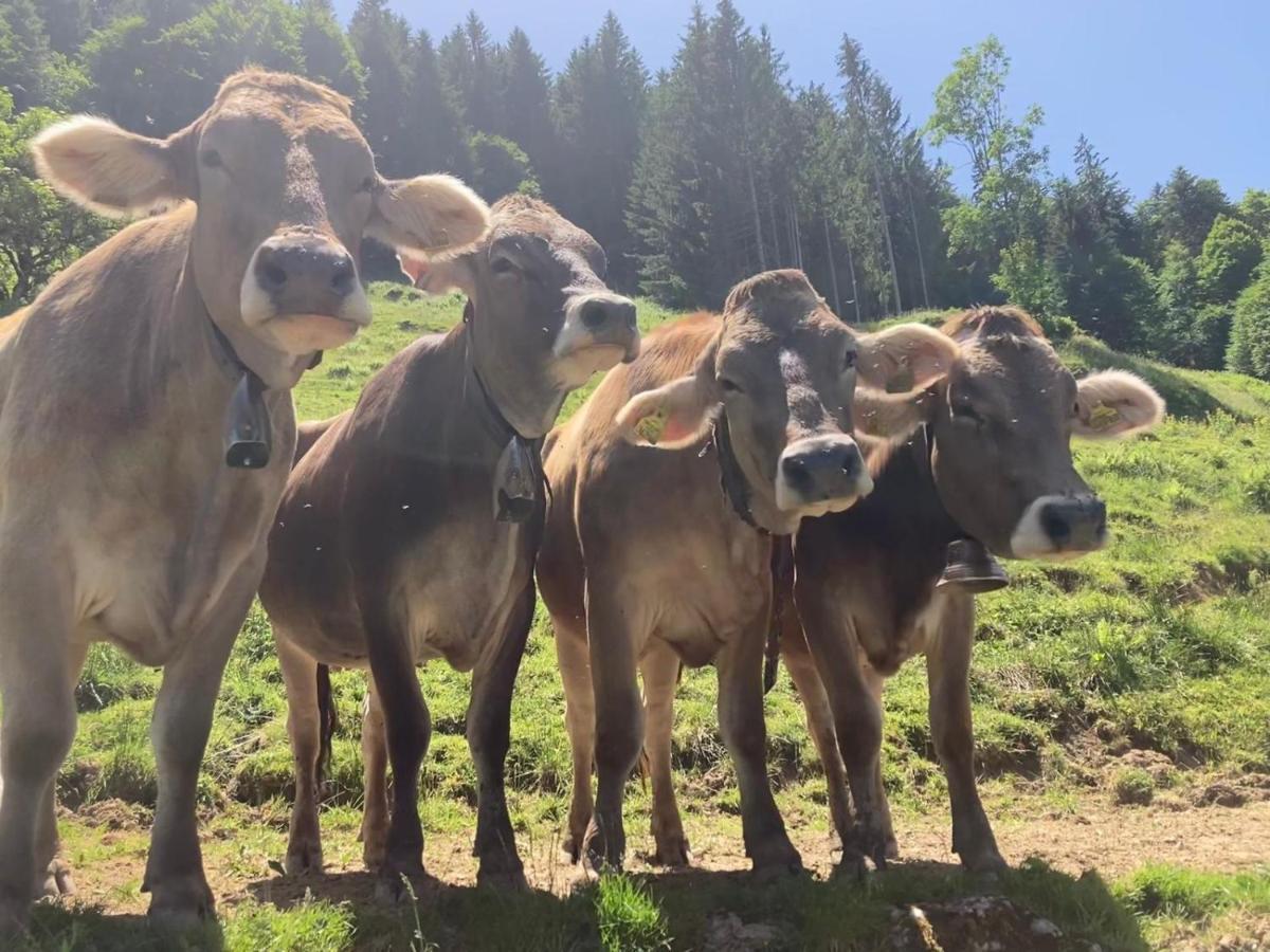 Vila Haus Hagspiel Hittisau Exteriér fotografie