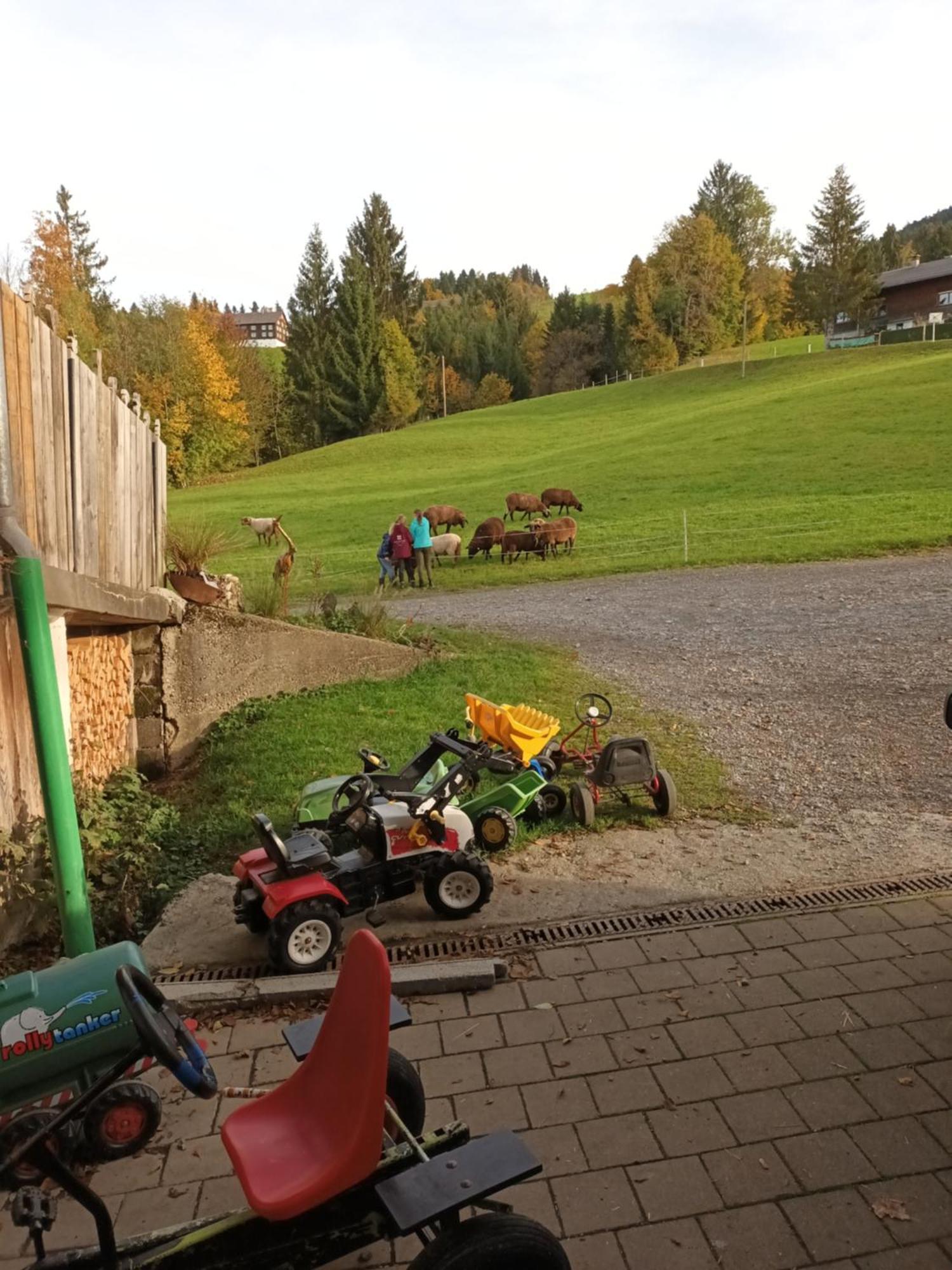 Vila Haus Hagspiel Hittisau Exteriér fotografie