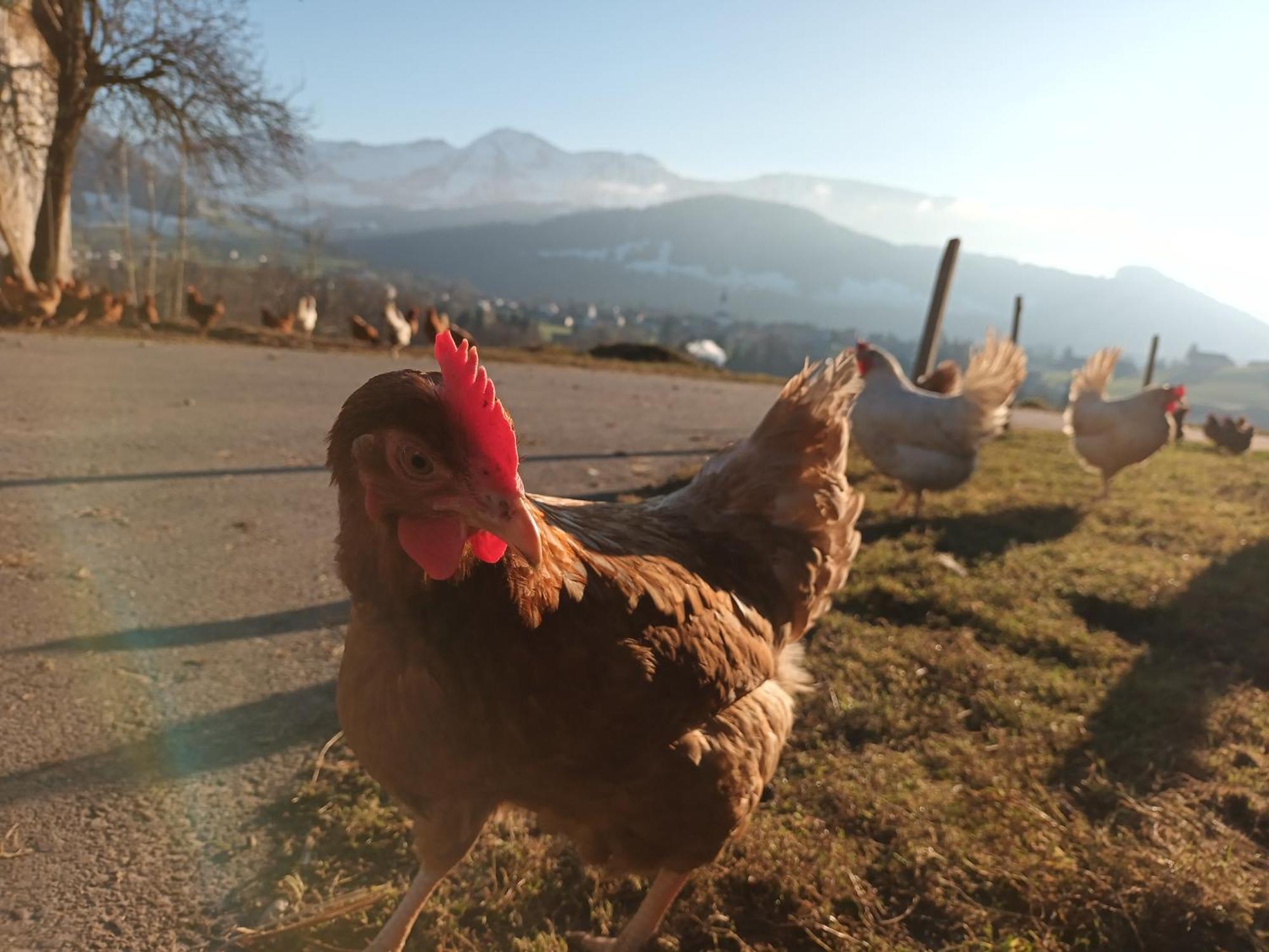 Vila Haus Hagspiel Hittisau Exteriér fotografie