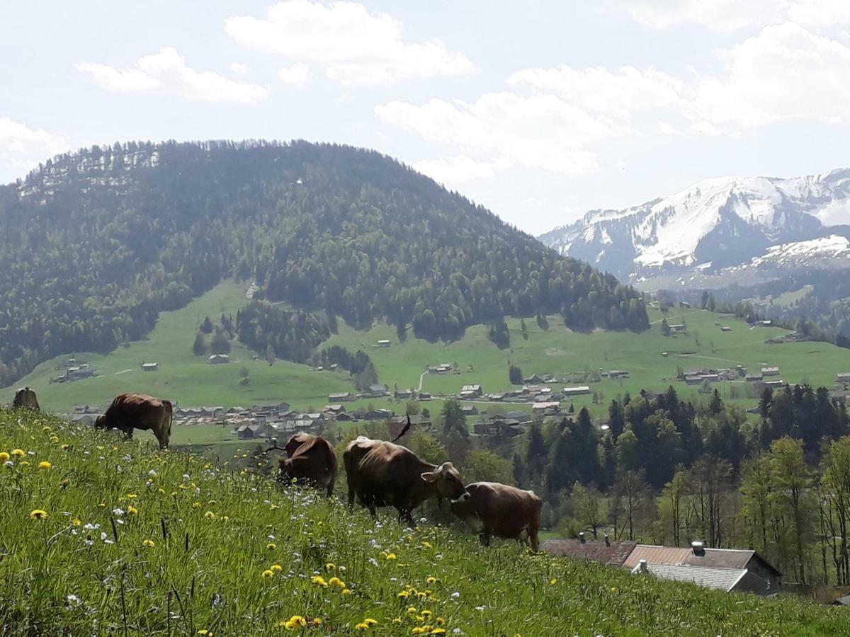 Vila Haus Hagspiel Hittisau Exteriér fotografie