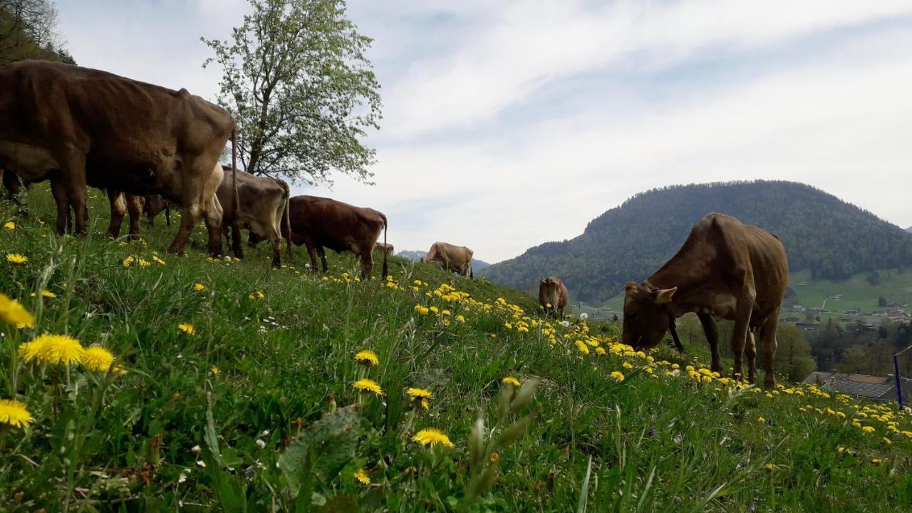 Vila Haus Hagspiel Hittisau Exteriér fotografie